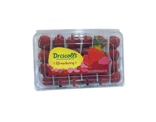 China Driscoll Strawberry | myaeon2go