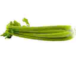 Australia Celery