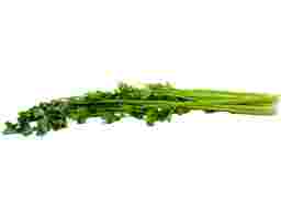 Edsam - Chinese Celery
