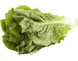 Segar2go - Romaine Lettuce