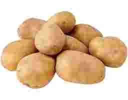 Holland Potato (1 Pack)