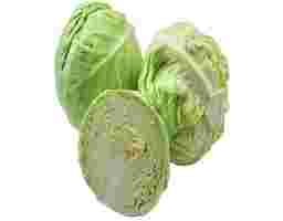 Beijing Cabbage