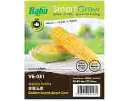 Baba - F1 Pearl Gold Sweet Corn (VE-031)