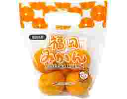 Japan Fukuoka Mikan